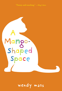A Mango-Shaped Space cover image
