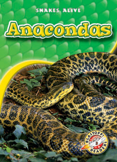 Anacondas cover image