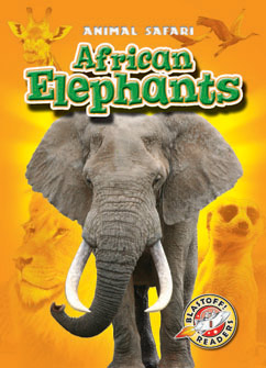 African Elephants cover image