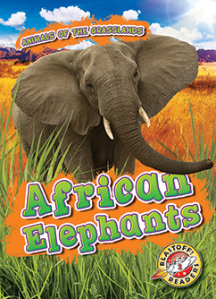 African Elephants cover image