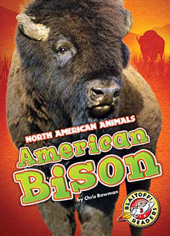 American Bison cover image